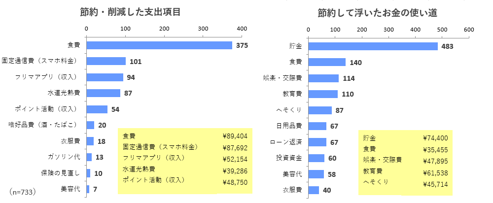 節約・削減した支出項目と浮いたお金の使い道